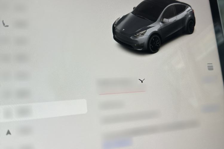 Used Tesla Model Y 2022 Performance High-Performance All-Wheel-Drive Version