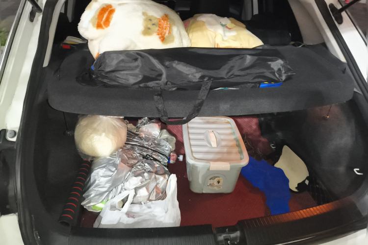 Used Volkswagen T-ROC 2020 230TSI DSG Two-Wheel Drive Advanced Version