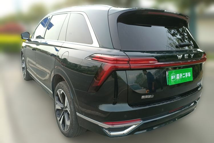 Used Wey Lanshan 2023 Four-Wheel Drive Ultra-Long Range Version Rear Left 45 Deg