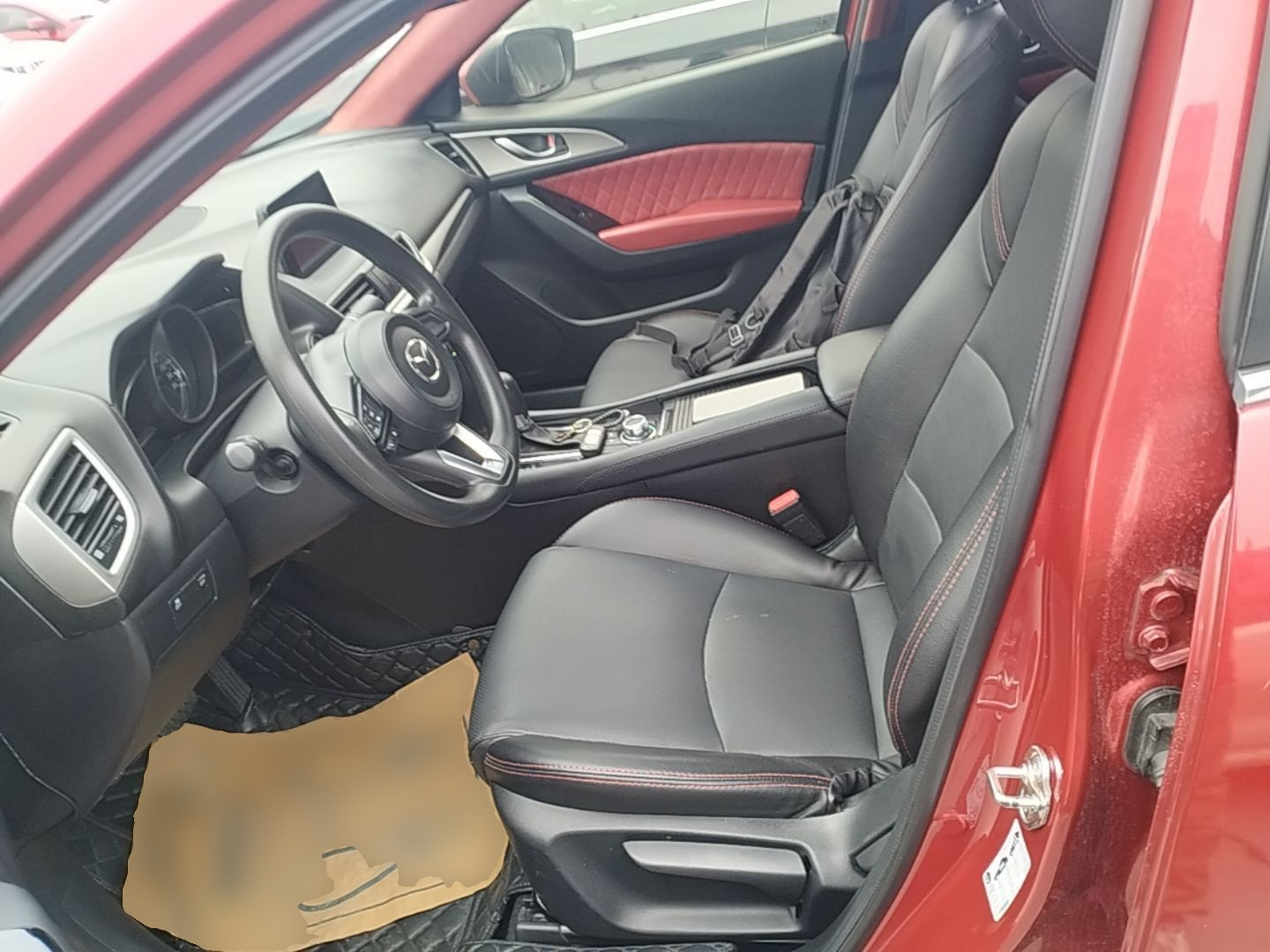 Interior delantero
