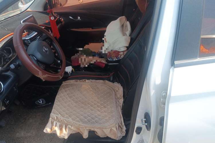 Used CHANGAN Alsvin 2018 1.4L Manual Comfort Model China V Standard