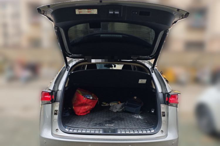 Used Lexus NX 2020 200 All-Wheel Drive Fēngshàng Version China VI Standard Trunk