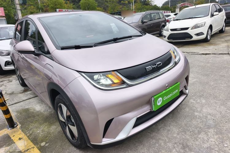 Used BYD Dolphin 2023 420 km Free Version
