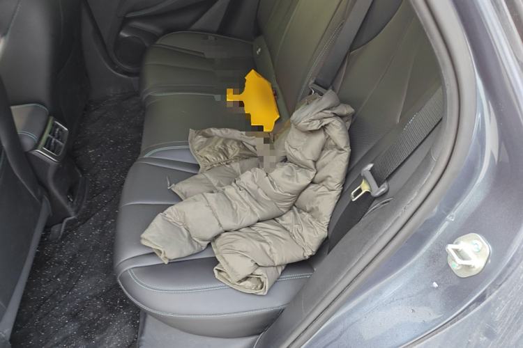 Used BYD Seal 06 New Energy 2024 DM-i 80KM Prestige Model Left Rear Seat