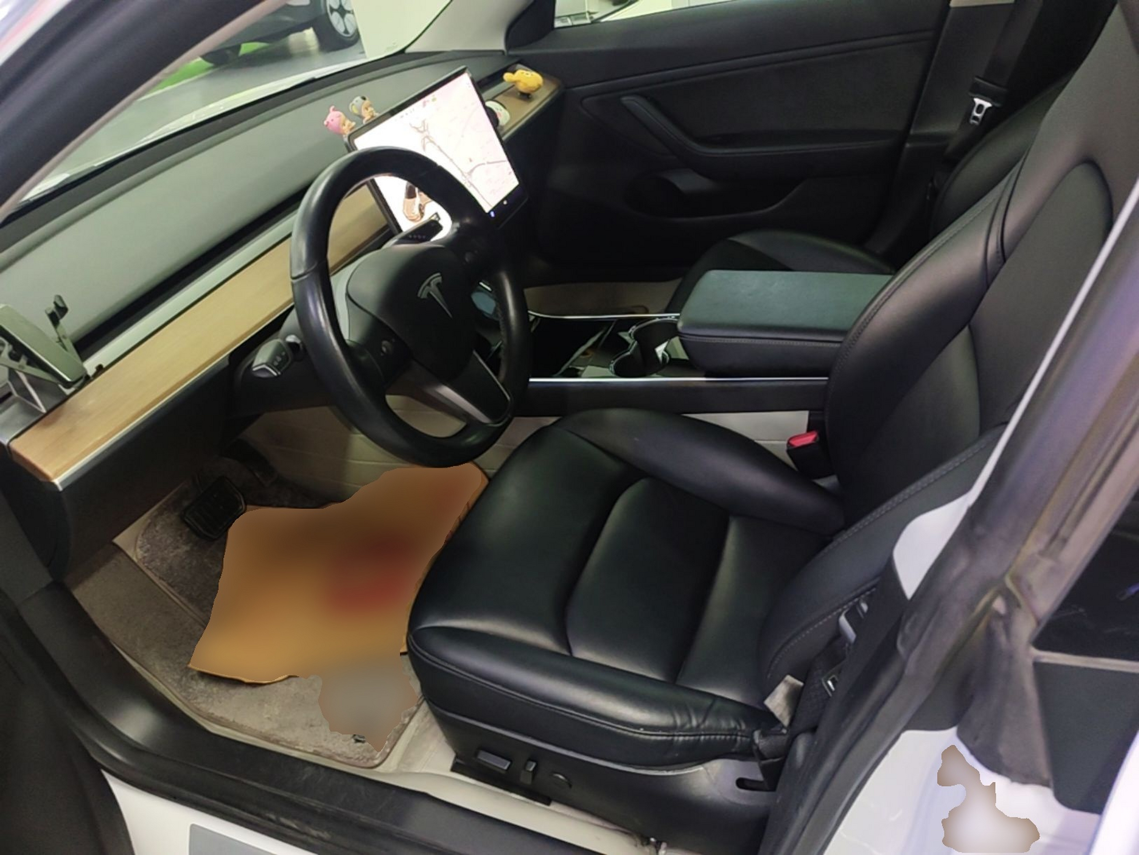 Interior delantero