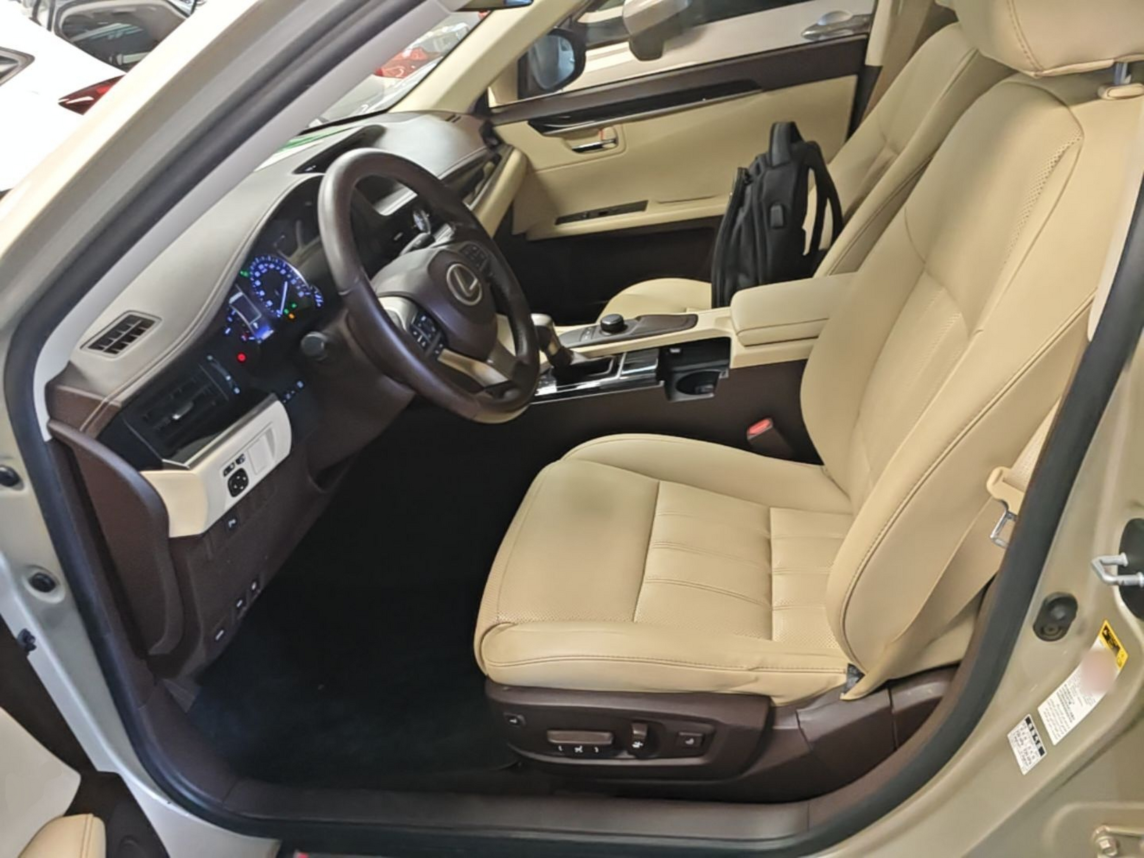 Interior delantero