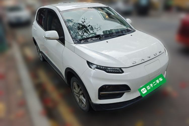 Used Dayun Yuehu 2022 30.66 kWh Two-Wheel Drive Standard Version