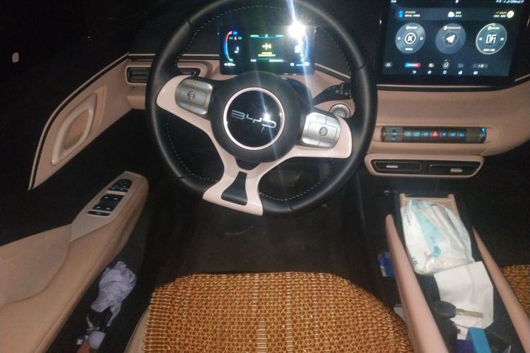 Used BYD Seagull 2023 Flying Edition