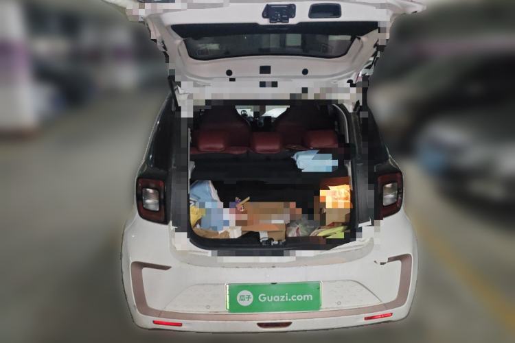 Used SOL E10X 2021 302 km Range Fashion Edition 31.4 kWh