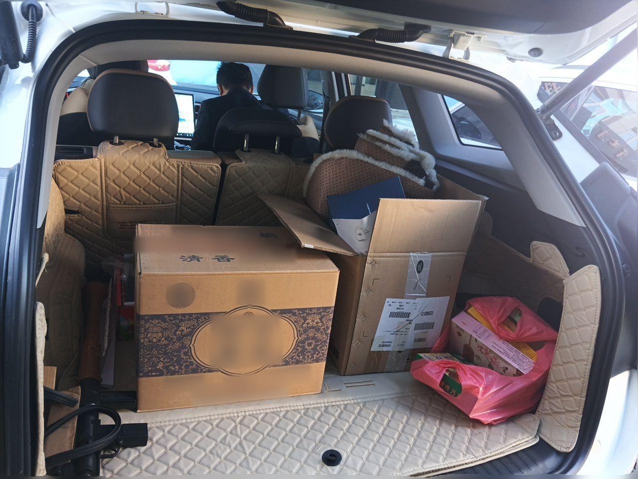 Geely Auto FX11 2023 1.5TD DCT Prestige Edition — снимка 19