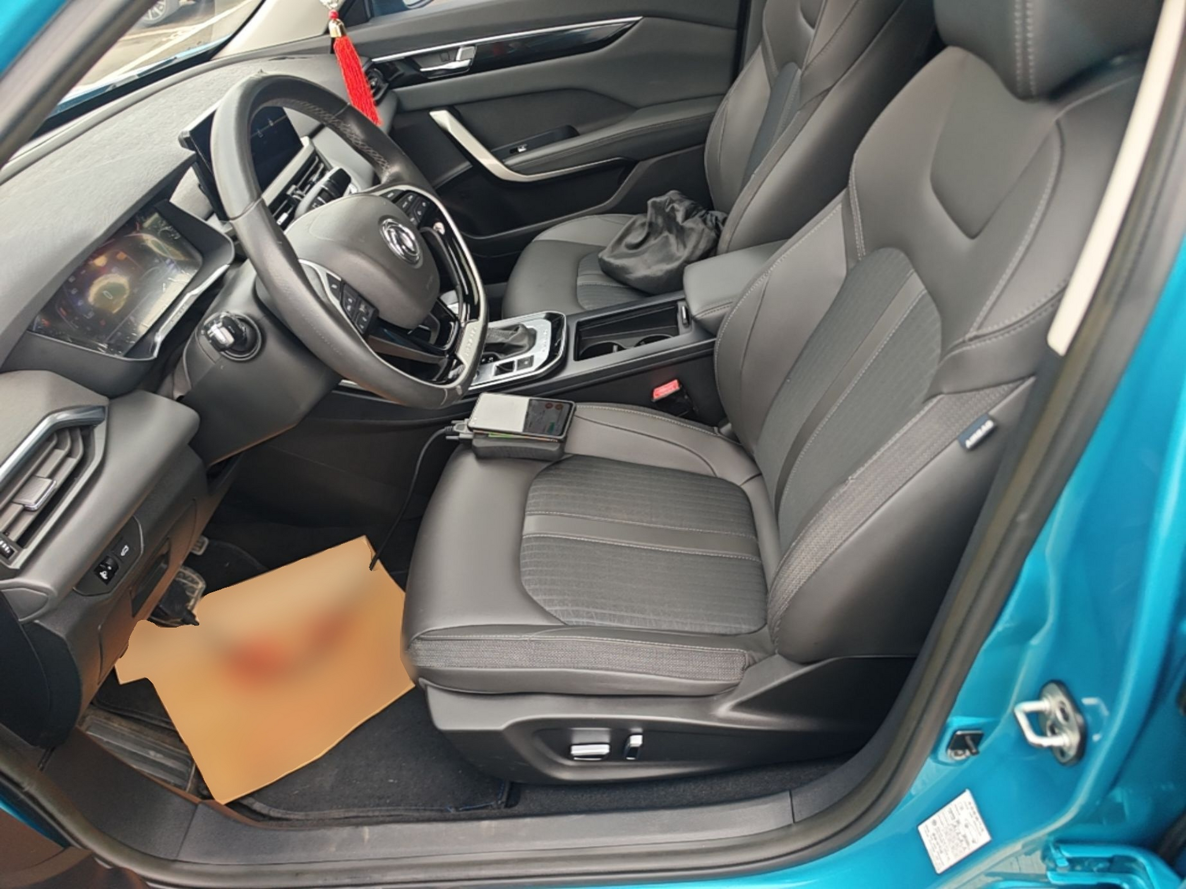 Interior delantero