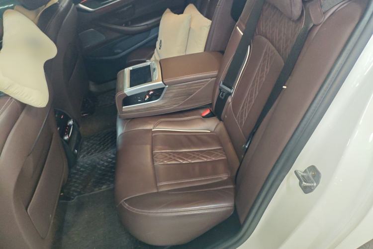 Used BMW 5 Series 2019 530Li Luxury Edition Premium Package