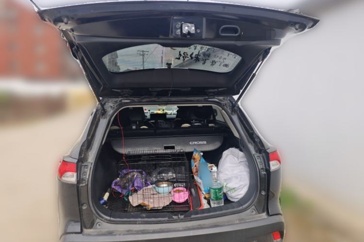 Used Toyota Corolla Cross 2023 2.0L Elite Edition Trunk