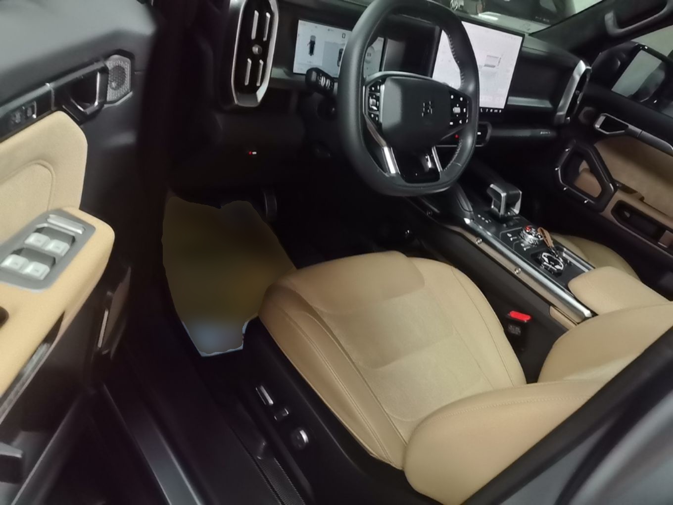 Interior delantero