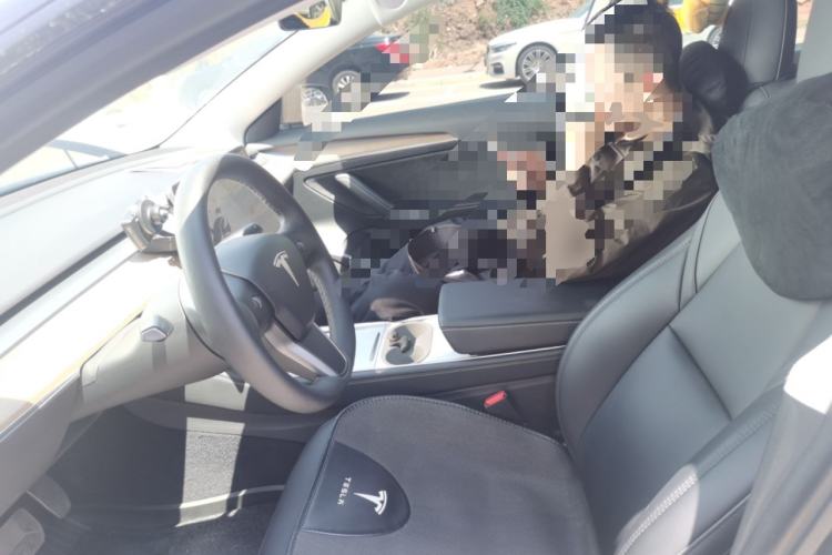 Used Tesla Model 3 2021 Revised Version Standard Range Rear-Wheel Drive Upgraded Edition 3D1