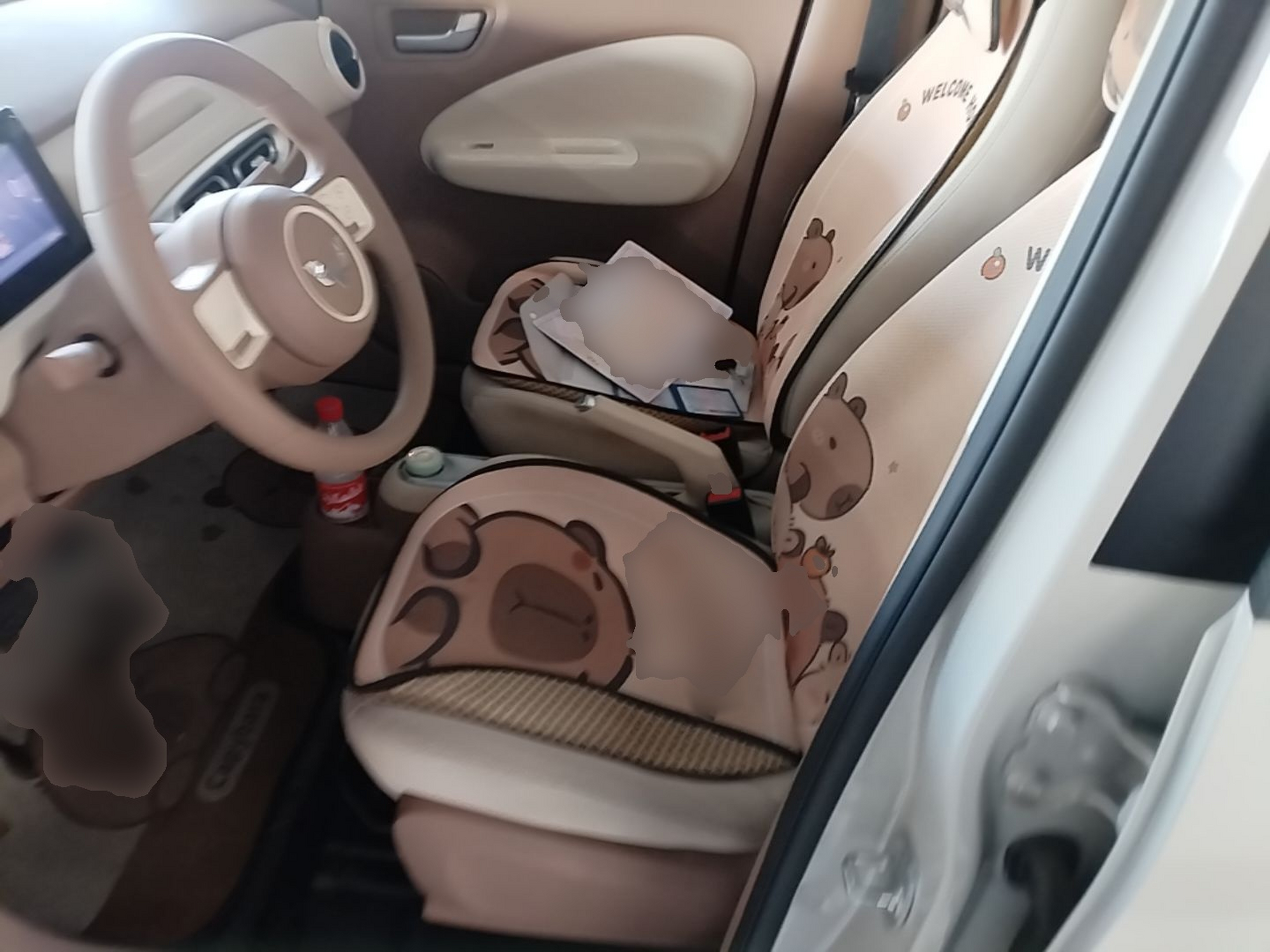 Interior delantero
