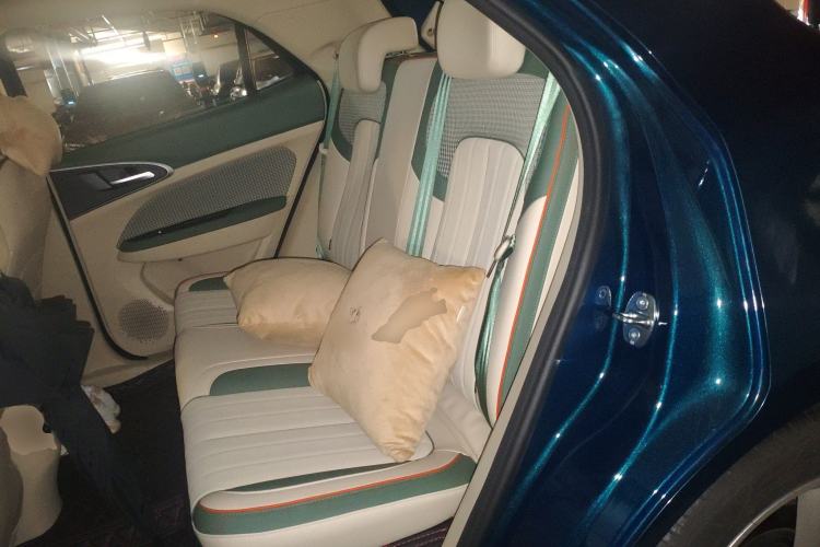 Used ORA Good Cat 2022 Morandi Edition 400km Standard Range Premium Version Lithium Iron Phosphate
