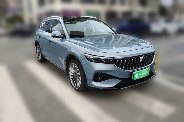 Used VOYAH FREE 2021 Four-Wheel Drive Standard Range-Extended Exclusive Luxury Package
