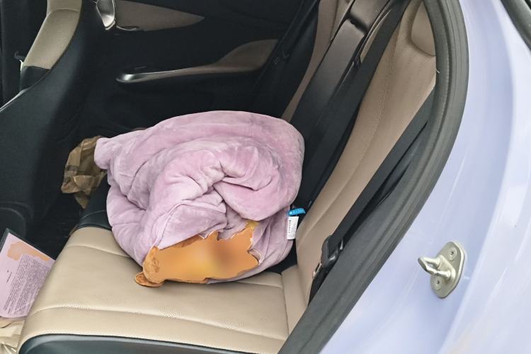 Used BYD Dolphin 2023 420 km Fashion Edition Left Rear Seat