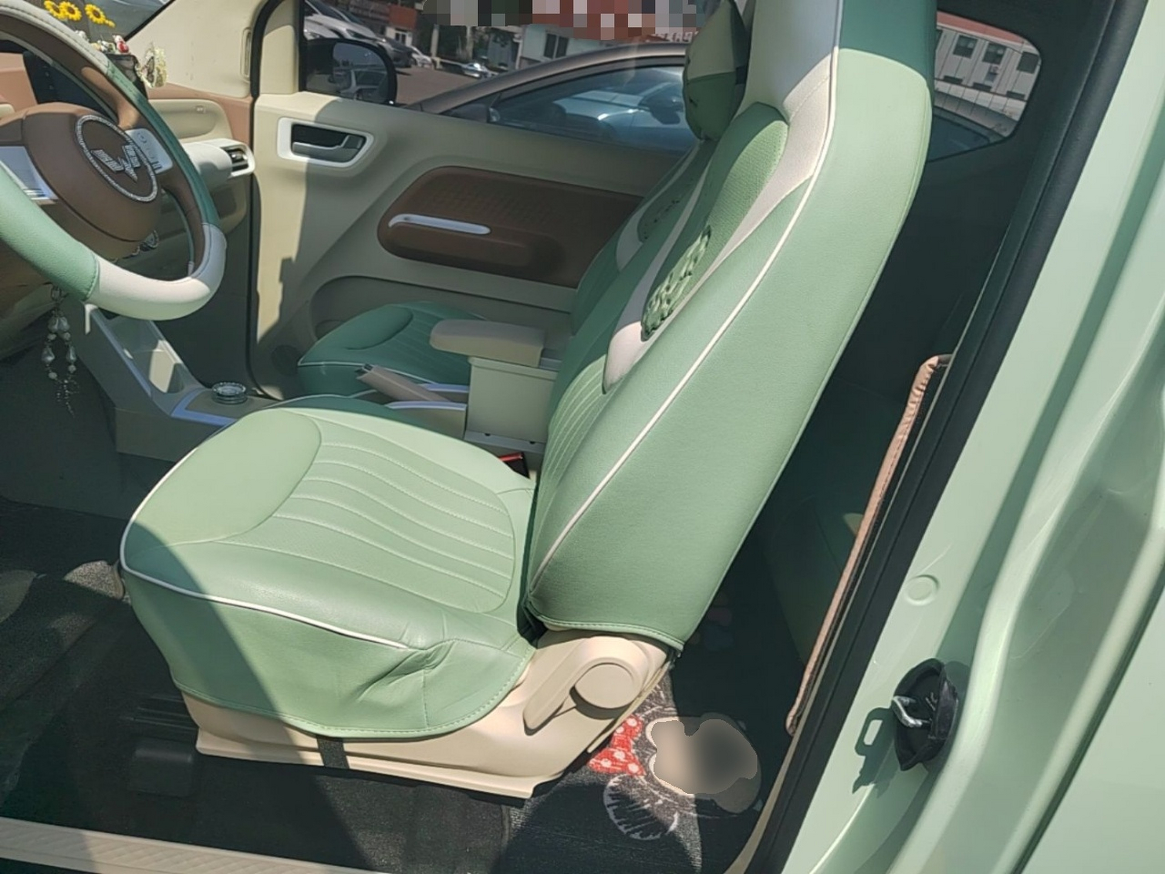 Interior delantero