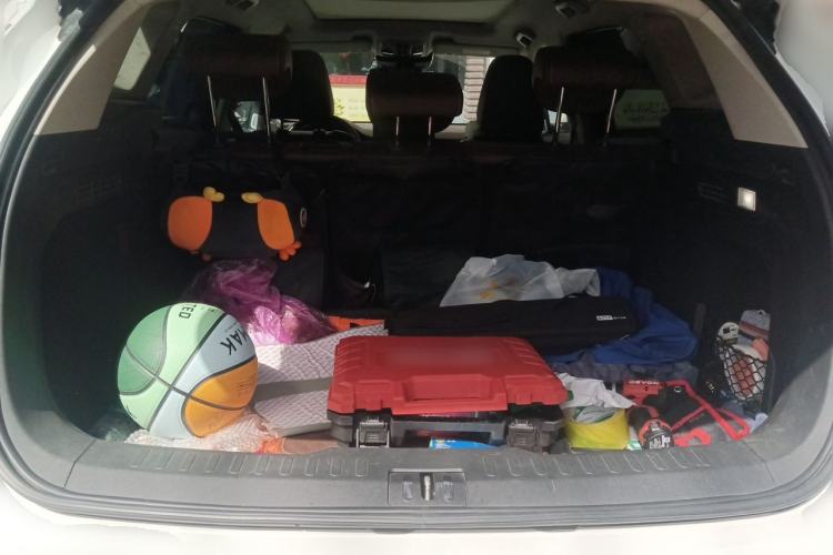 Used Wey VV6 2020 2.0T Two-Wheel Drive Smart Protection+