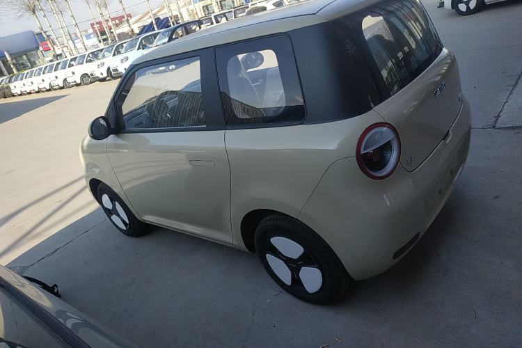 Used Qiyuan Lumin 2025 205 km Xiangqin Version
