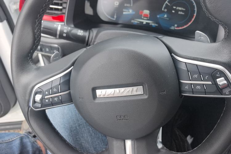 Used Haval F5 2019 National Trend Edition 1.5T i-Trend China VI Standard