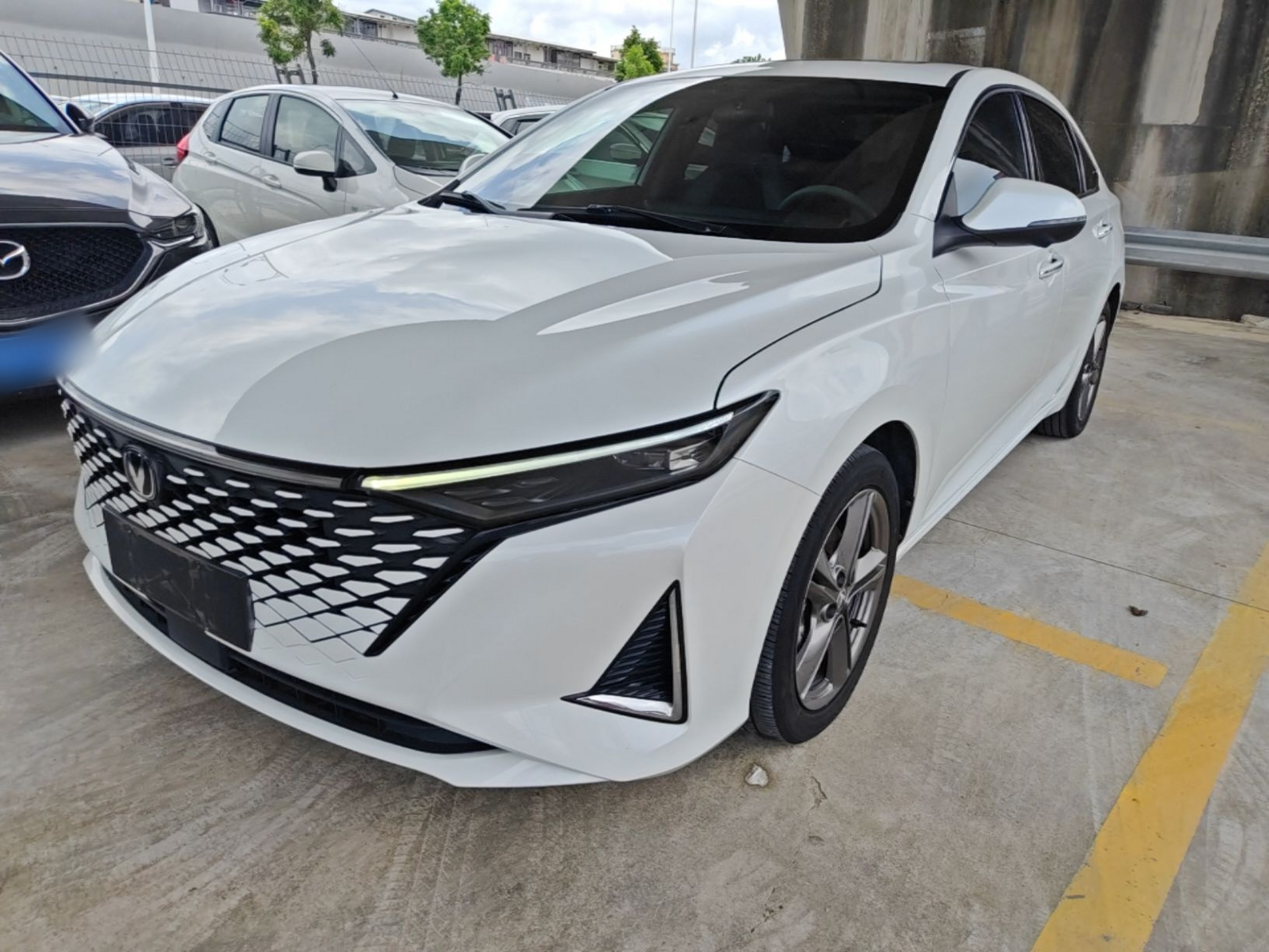 Under Front Bumper