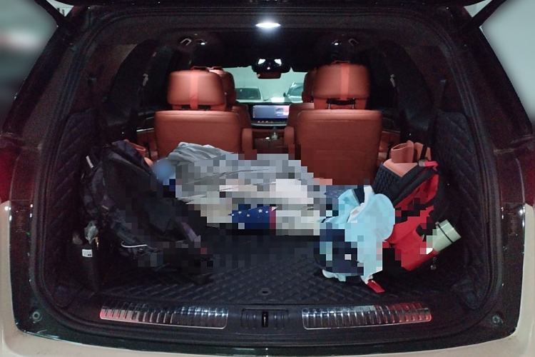 Used Wey Lanshan 2023 Four-Wheel Drive Ultra-Long Range Version
