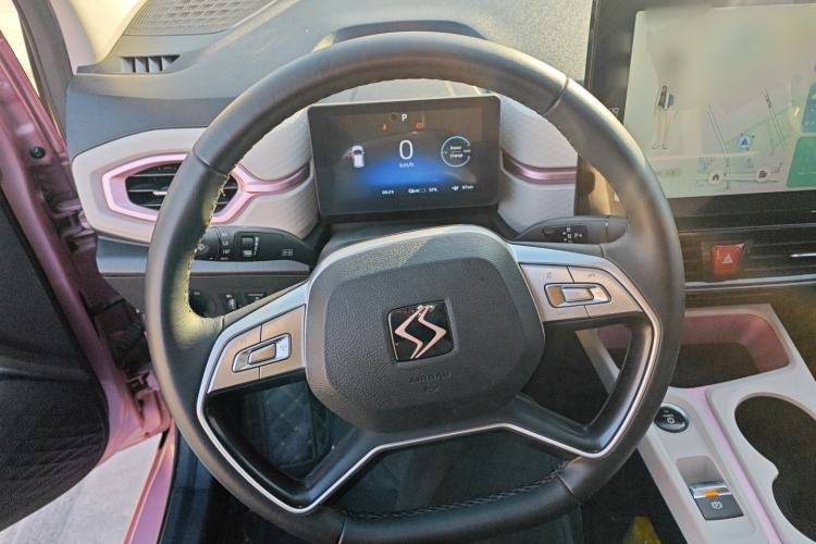 Used SOL E10X 2022 Flower Fairy Design Sunflower