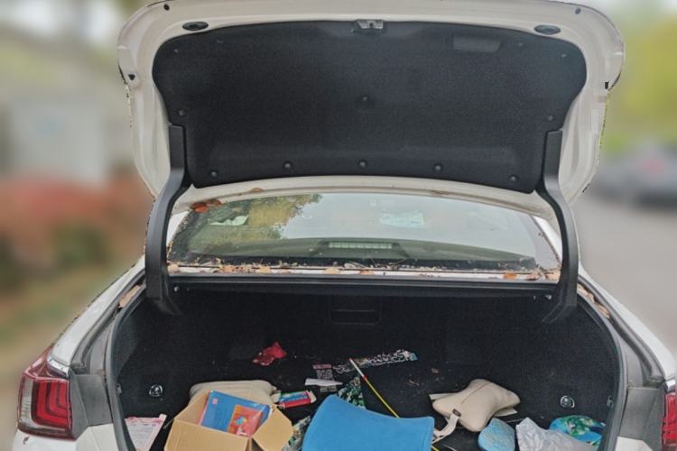 Used Lexus ES 2020 200 Excellence Edition Trunk