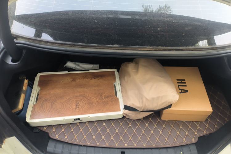 Used BMW 5 Series New Energy 2021 535Le Luxury Package