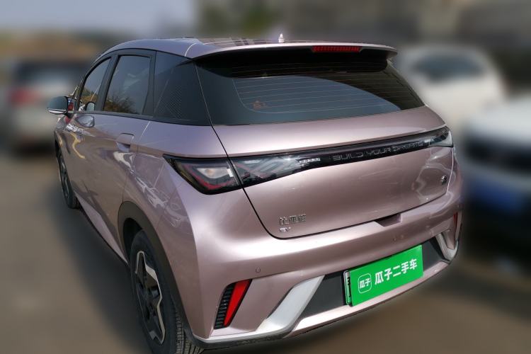 Used BYD Dolphin 2021 405 km Free Version