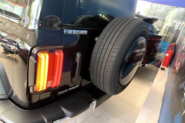 Used Tank 300 2024 2.0T Conqueror