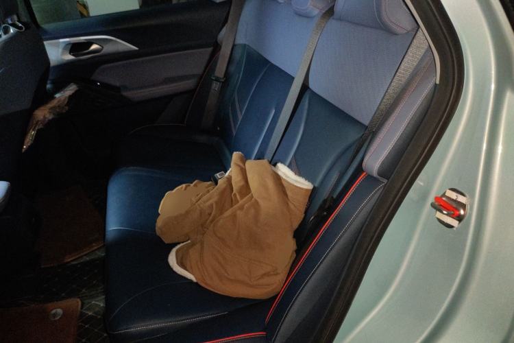 Used Geometry E Firefly 2022 401 km Linglong Tiger 4 Seats Left Rear Seat