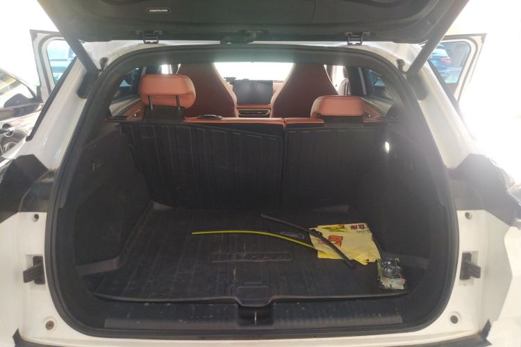 Used NETA X 2023 500