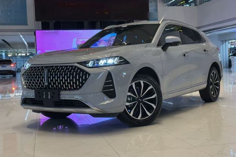 Used Wey Mocha 2021 2.0T Two-Wheel-Drive Premium Edition