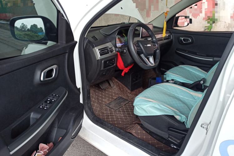 Used Dayun Yuehu 2022 30.66 kWh Two-Wheel Drive Standard Version
