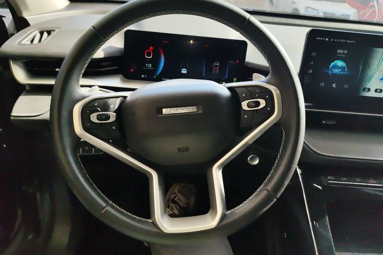 Used Haval H6 2021 3rd Generation 2.0T Automatic Two-Wheel Drive Max