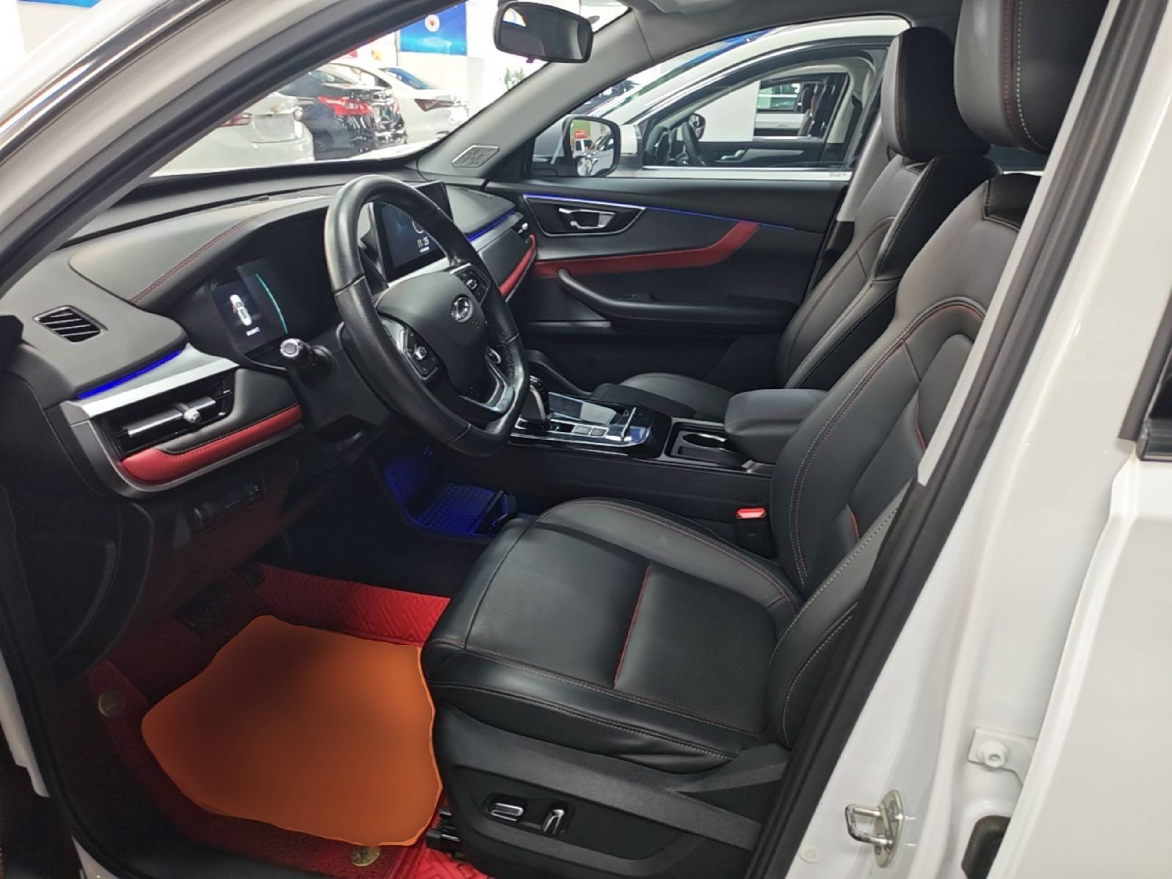 Interior delantero