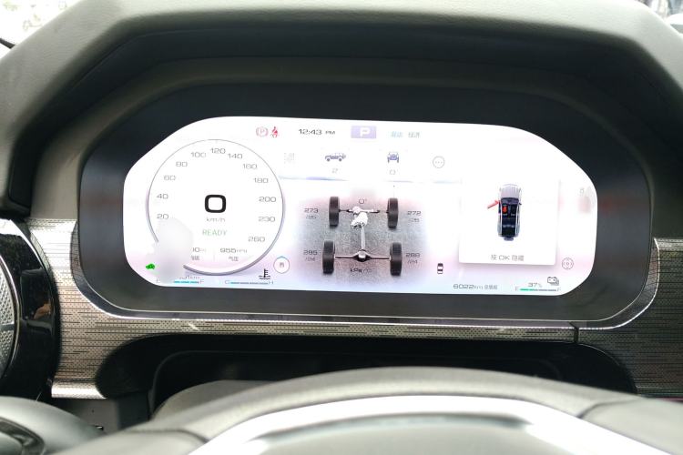 Used Tank 400 New Energy 2024 Hi4-T City Edition