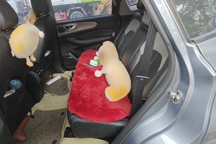 Used Roewe RX5 New Energy 2020 ePLUS National Trend Ronglin Flagship Edition Left Rear Seat