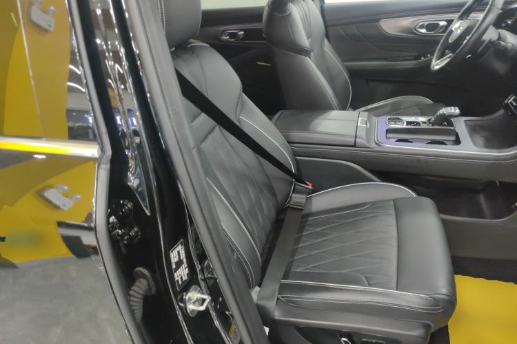 Used GAC Trumpchi GS8 2024 Linghang Series 2.0 TGDI Two-Wheel Drive Luxury Smart Connectivity Version Right Front Seat