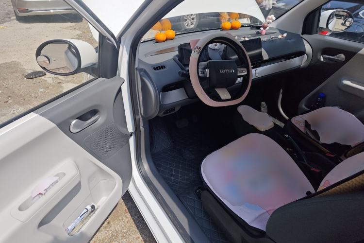 Used Qiyuan Lumin 2023 205km Xiangqin Version