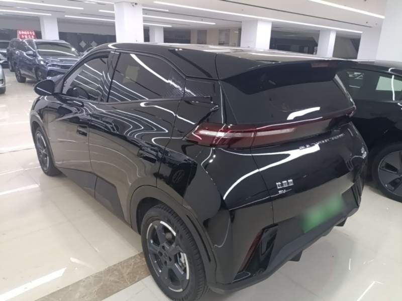 Used BYD Seagull 2024 Honor Edition 305km Freedom Version — 4