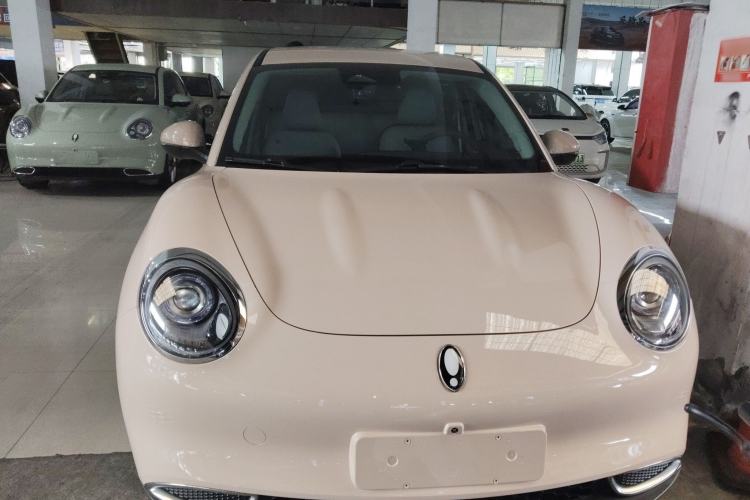 Used ORA Good Cat 2023 401 km Standard Range Luxury Version Lithium Iron Phosphate Front