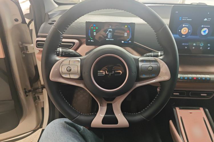 Used BYD Seagull 2024 Honor Edition 305km Freedom Version
