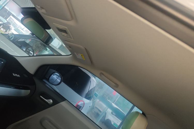 Used Qiyuan Lumin 2023 205km Xiangqin Version
