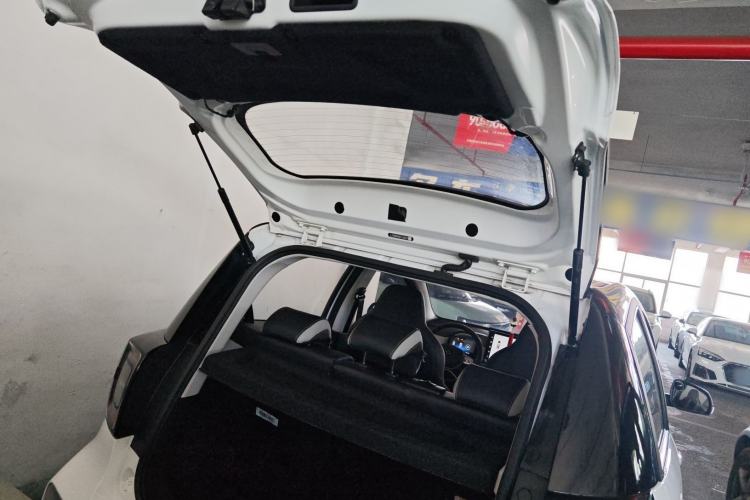 Used SOL E10X 2022 Flower Fairy Style Baby's Breath