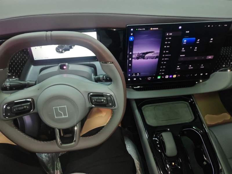 Used Zeekr 009 2024 Six-Seat Executive Version 4WD 108 kWh — 9